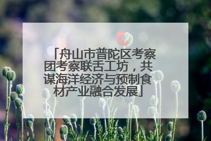 舟山市普陀区考察团考察联舌工坊，共谋海洋经济与预制食材产业融合发展